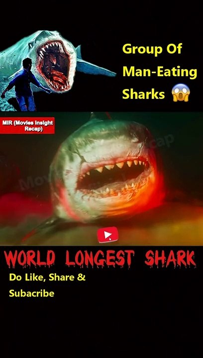 The Meg 2 (2023) Movie| Short| Movie Recap\ Movies Insight Recap