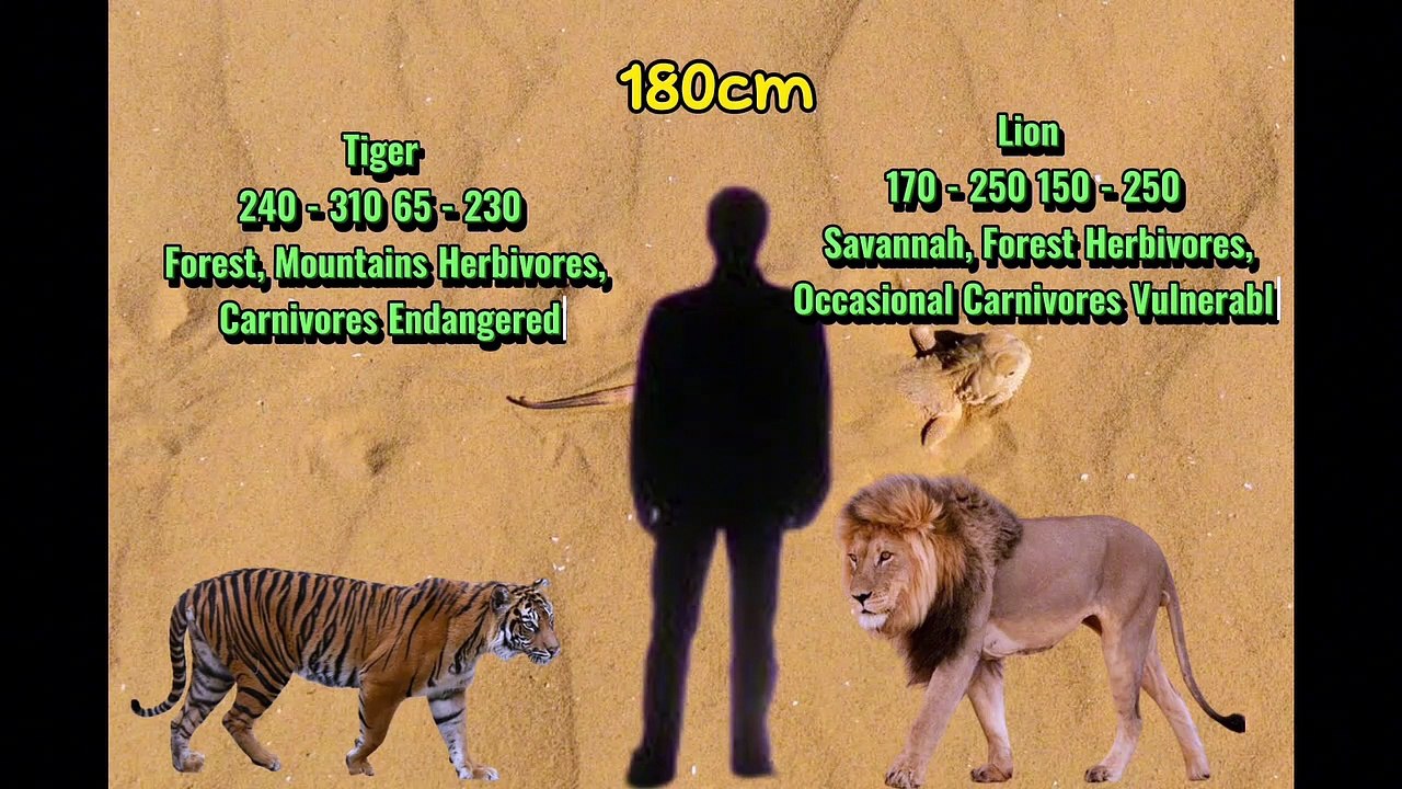 tell the difference between humans and animals