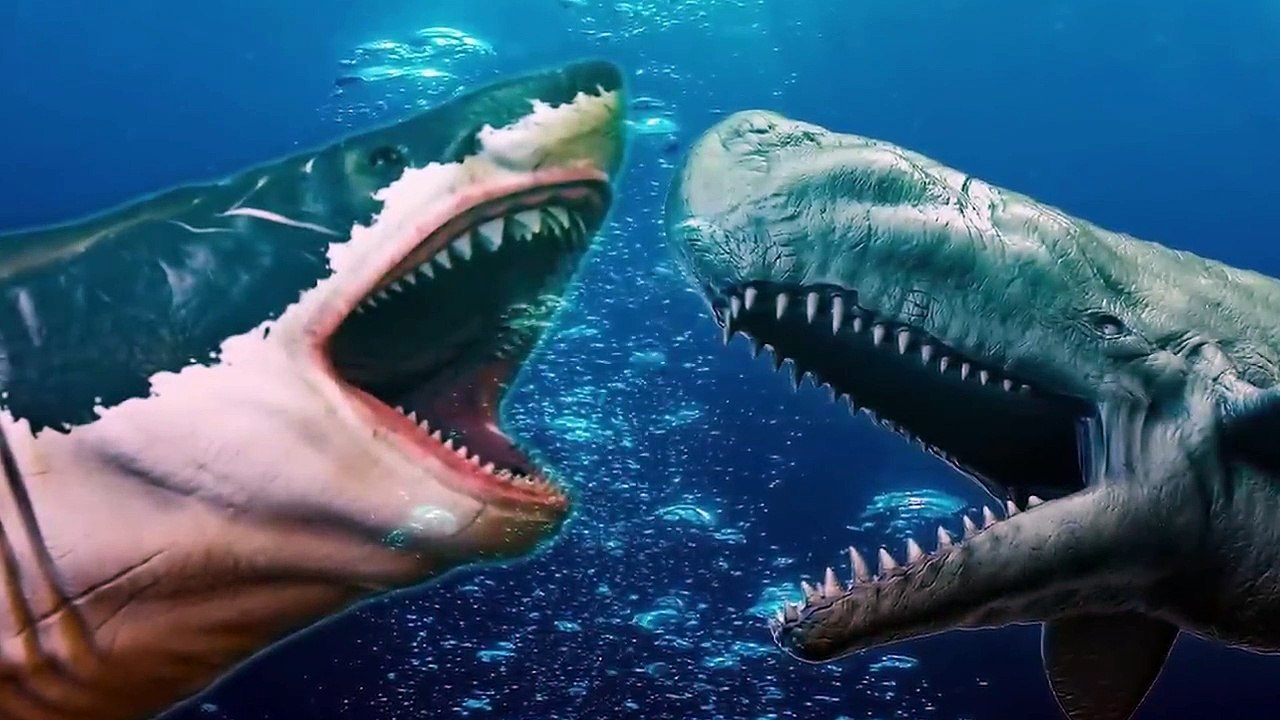 15 INCREDIBLE Megalodon Shark Facts