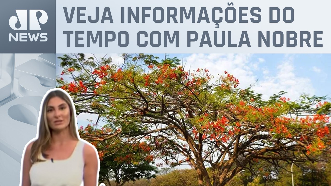 Primavera inicia no Brasil com muito calor | Previsão do Tempo