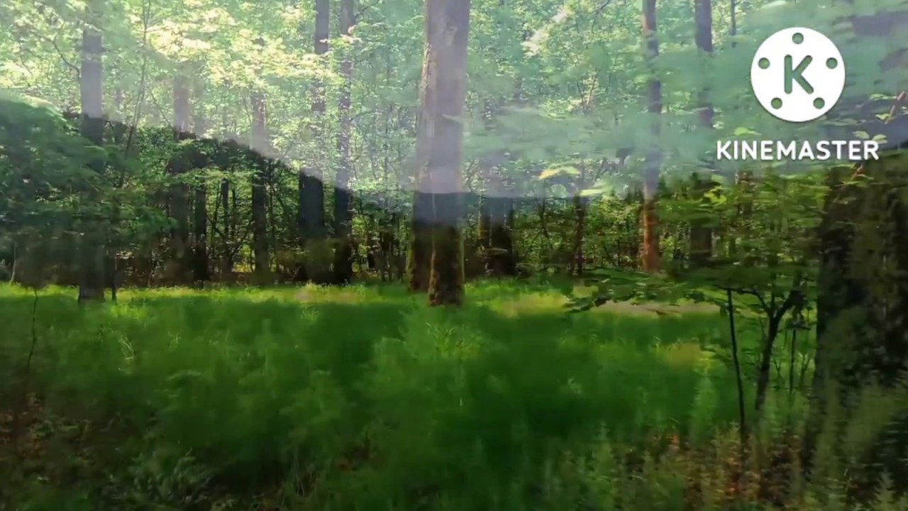 Ayatul kursi/Ayatul kursi ki fazilat