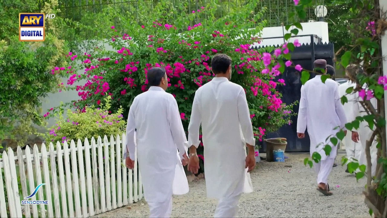 Mere Humsafar Episode 30 - Presented by Sensodyne - 28th July 2022 (English Subtitles)