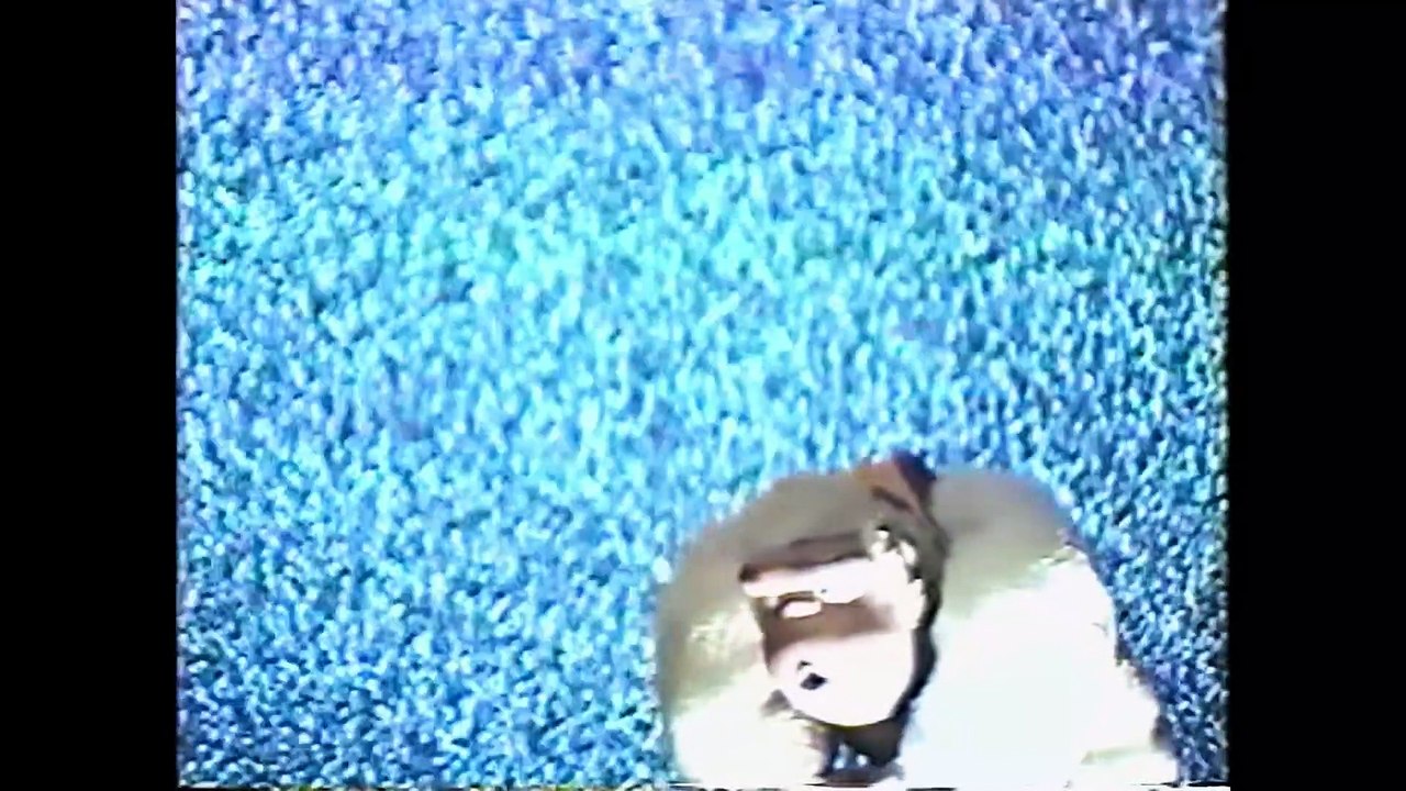 Yellow Door: '90s Lo-fi Film Club | movie | 2023 | Official Trailer