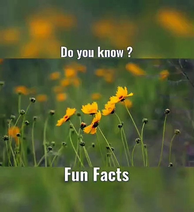 People problem solving