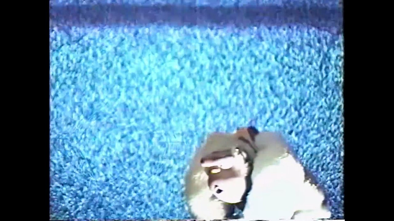 Yellow Door '90s Lo-fi Film Club Trailer