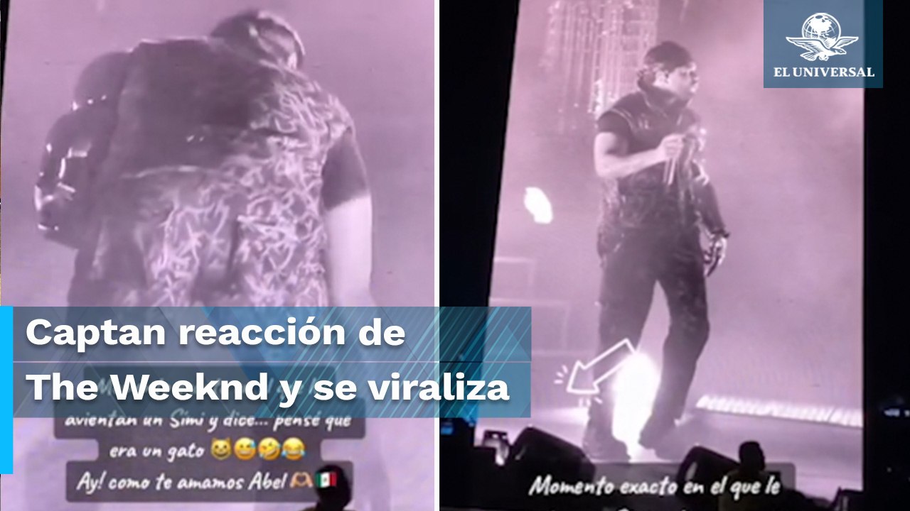 Confunde The Weeknd a Dr. Simi con un gato