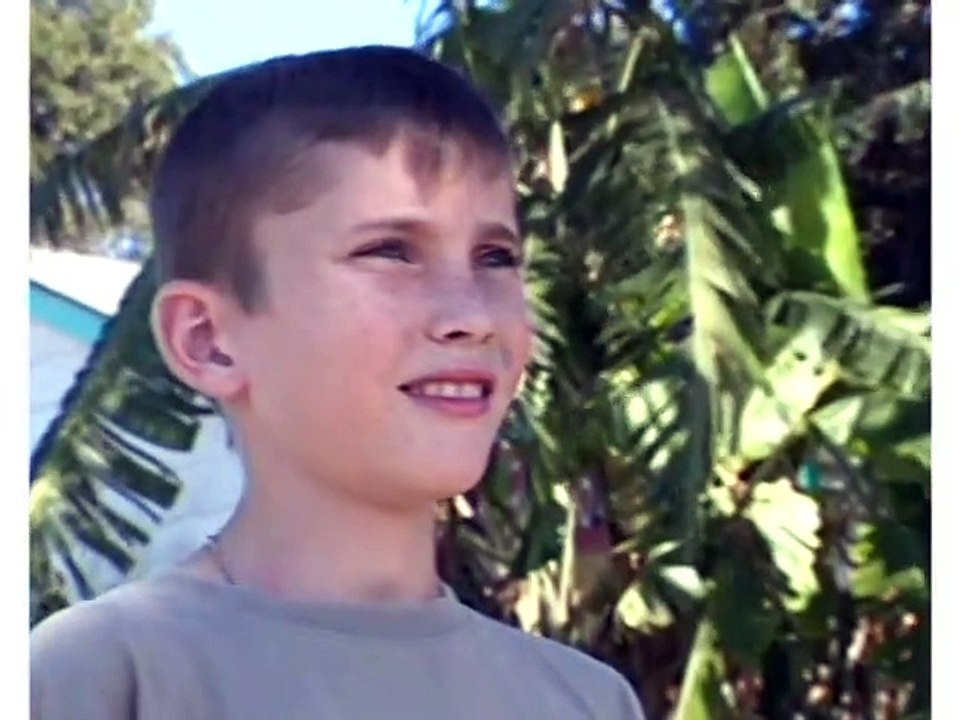 Bee Smart Baby - Baby Bumblebee - Vocabulary Builder Volume 4 (2000)