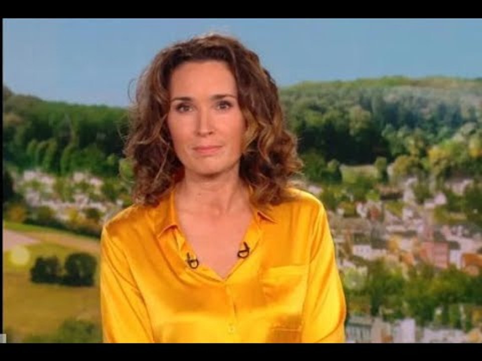 Marie-Sophie Lacarrau : son malaise au JT de TF1 dû à une erreur humaine ?