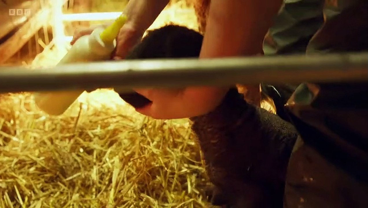 This Farming Life 2023 Episode 6