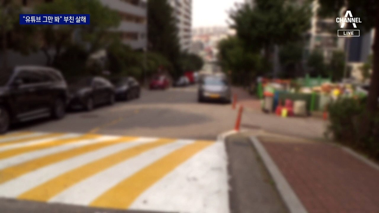 “유튜브 그만 봐” 꾸중에 부친 살해한 20대