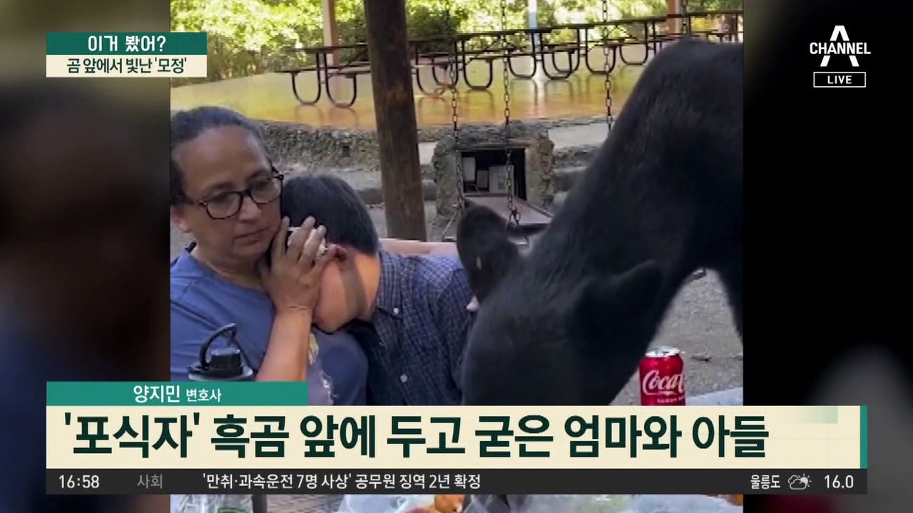식탁 점령한 흑곰…곰 앞에서 빛난 ‘모정’