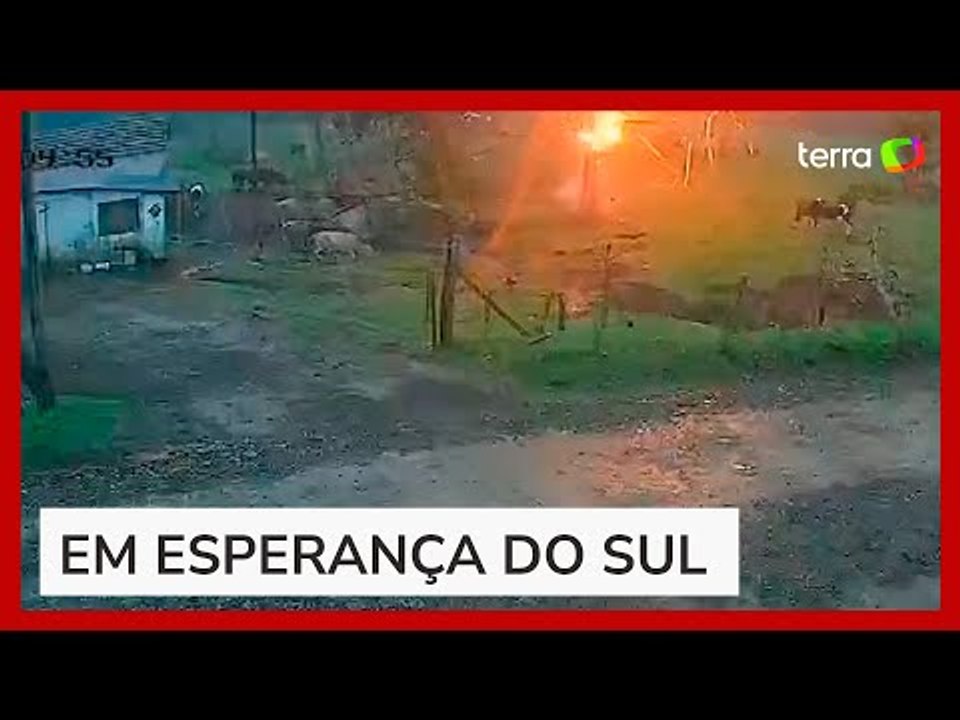 Raio destrói árvore e quase atinge animais em fazenda no Rio Grande Sul