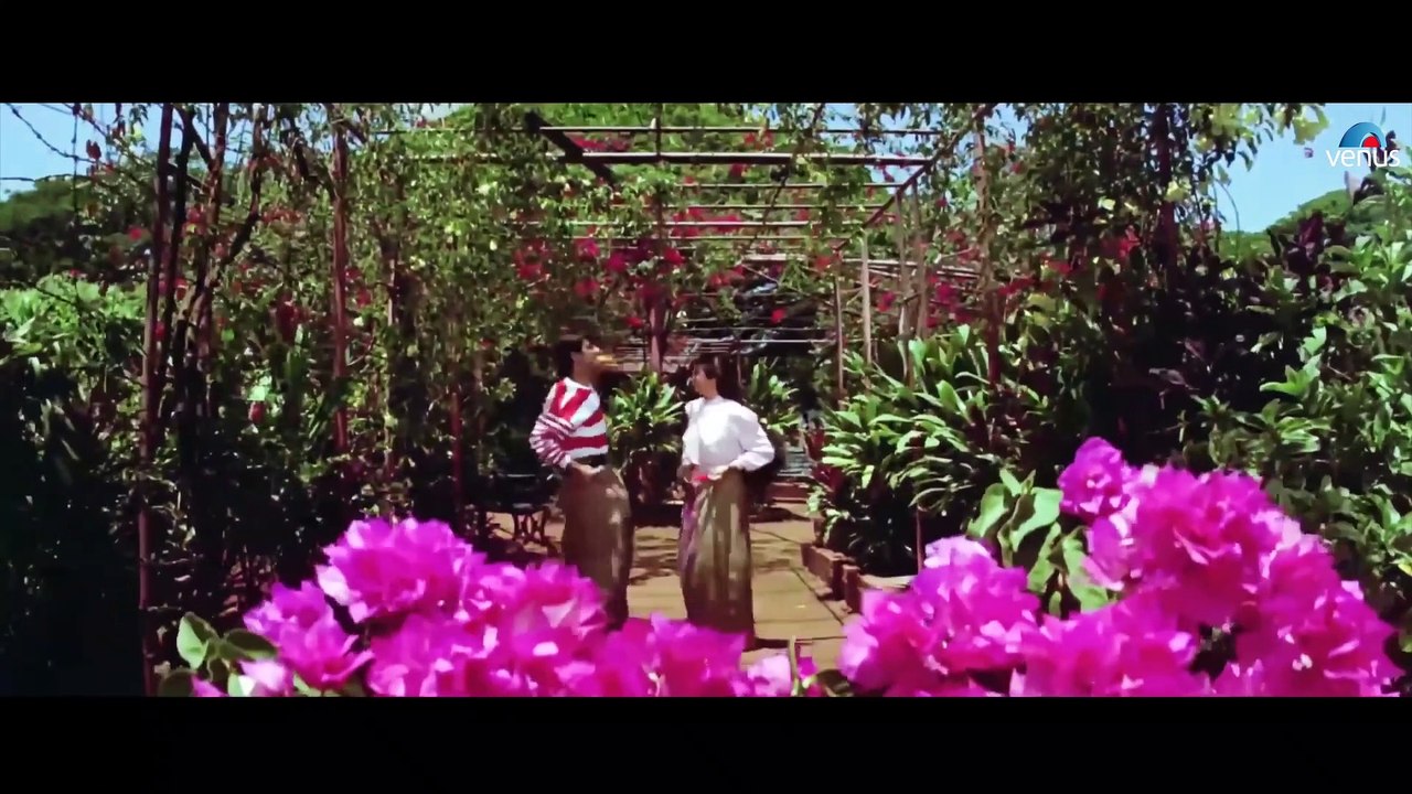 Kaisa Lagta Hai -  Baaghi 90s Hindi Romantic Song