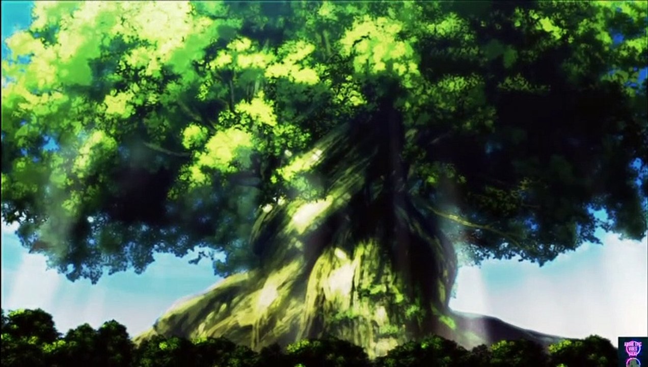 Captain fight [Black Clover]