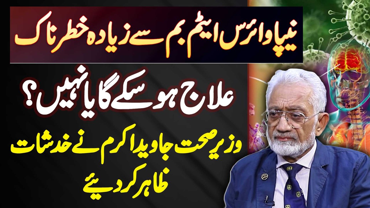 Nipah Virus Is Dangerous Or Not? What Are The Symptoms And Treatment For The Deadly Virus?