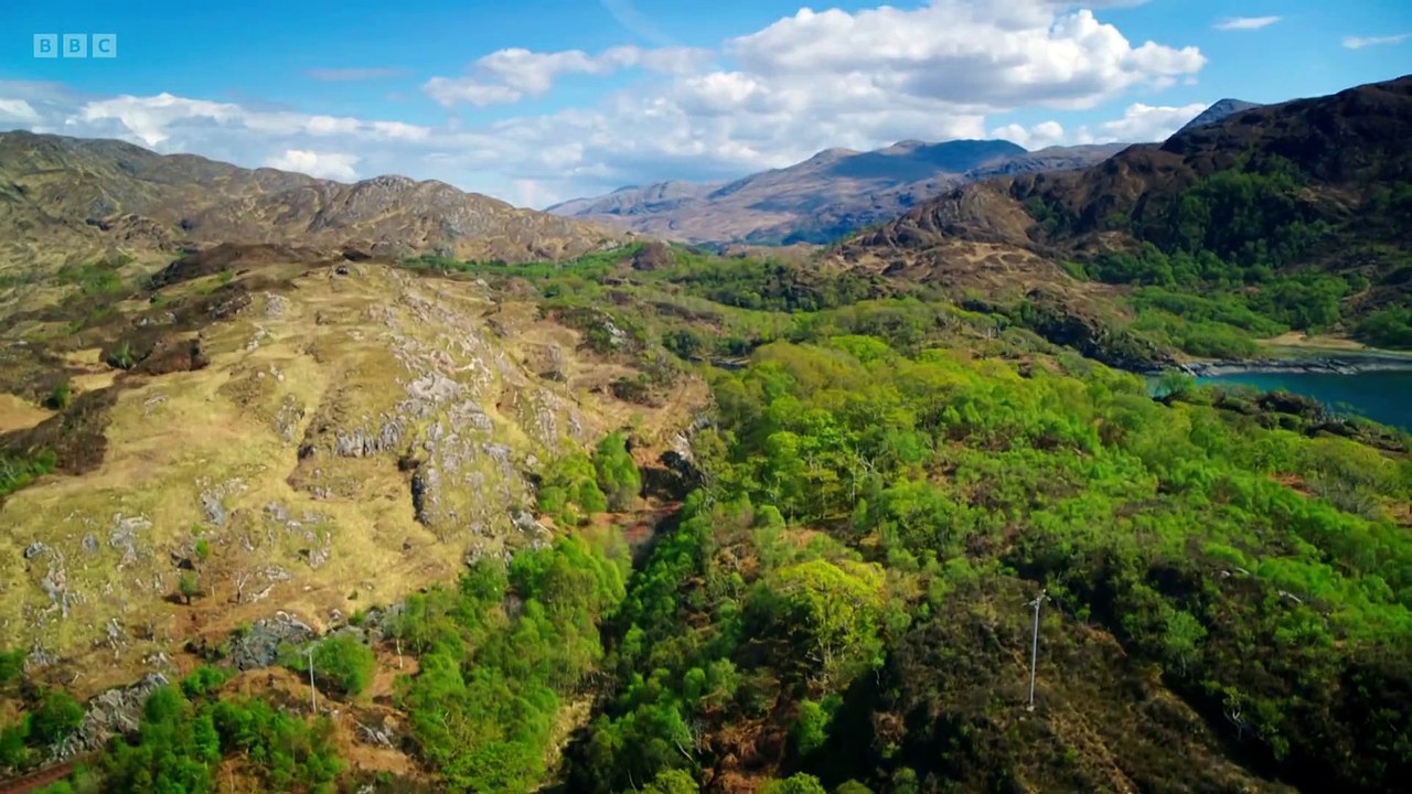 The Traitors UK S01E08