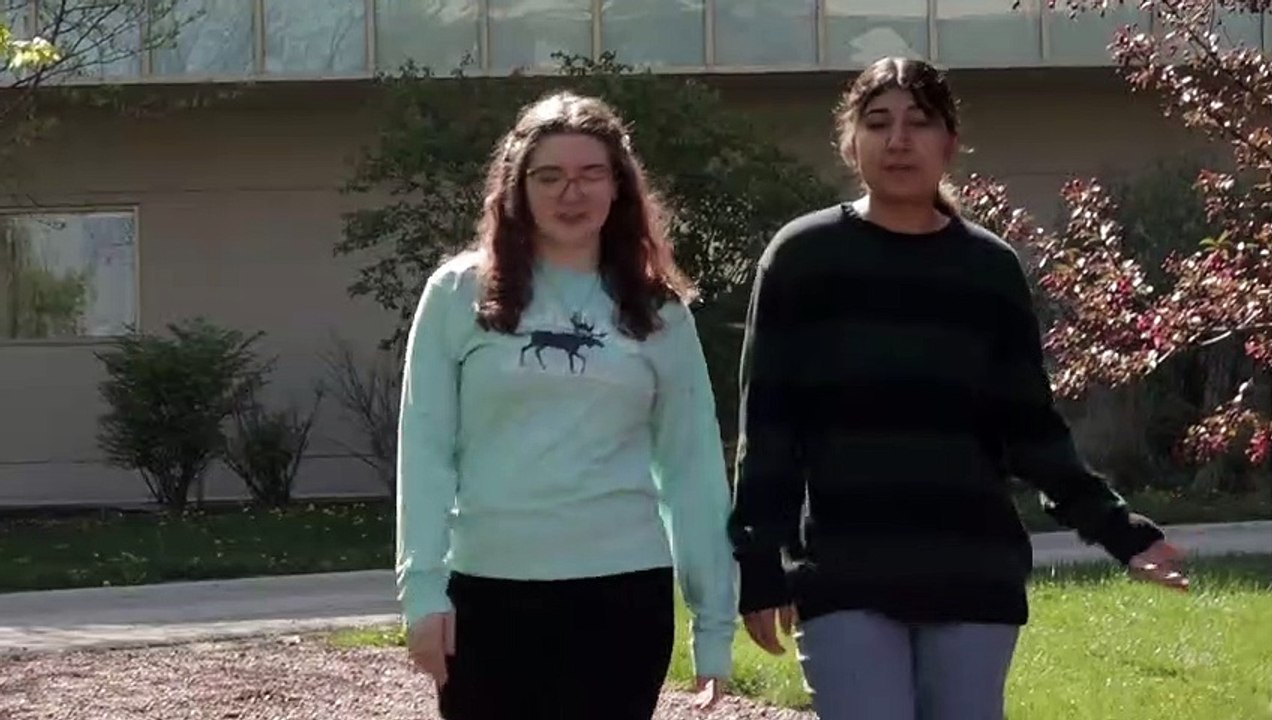 Last Summer II | movie | 2023 | Official Trailer