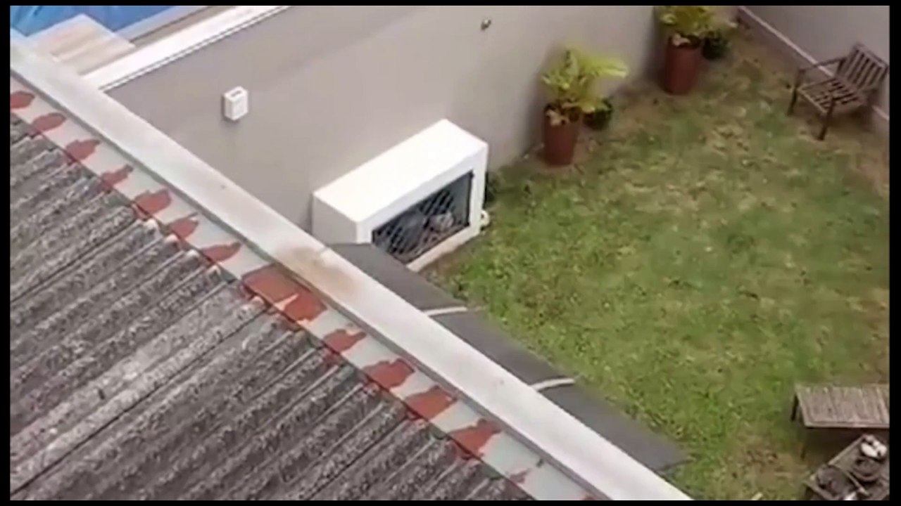 Mulher é acusada de agredir o filho autista em Ponta Grossa