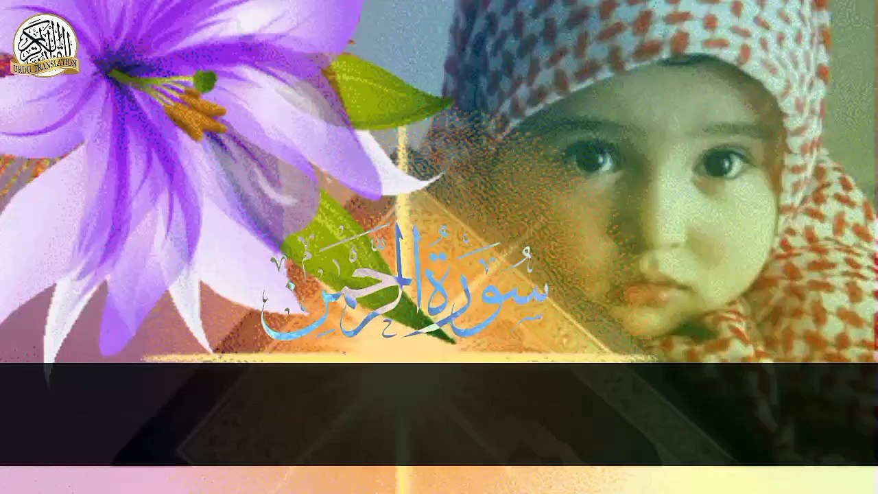 no copyright Surah Rahman (The Most Merciful) | Full With Arabic Text (HD)