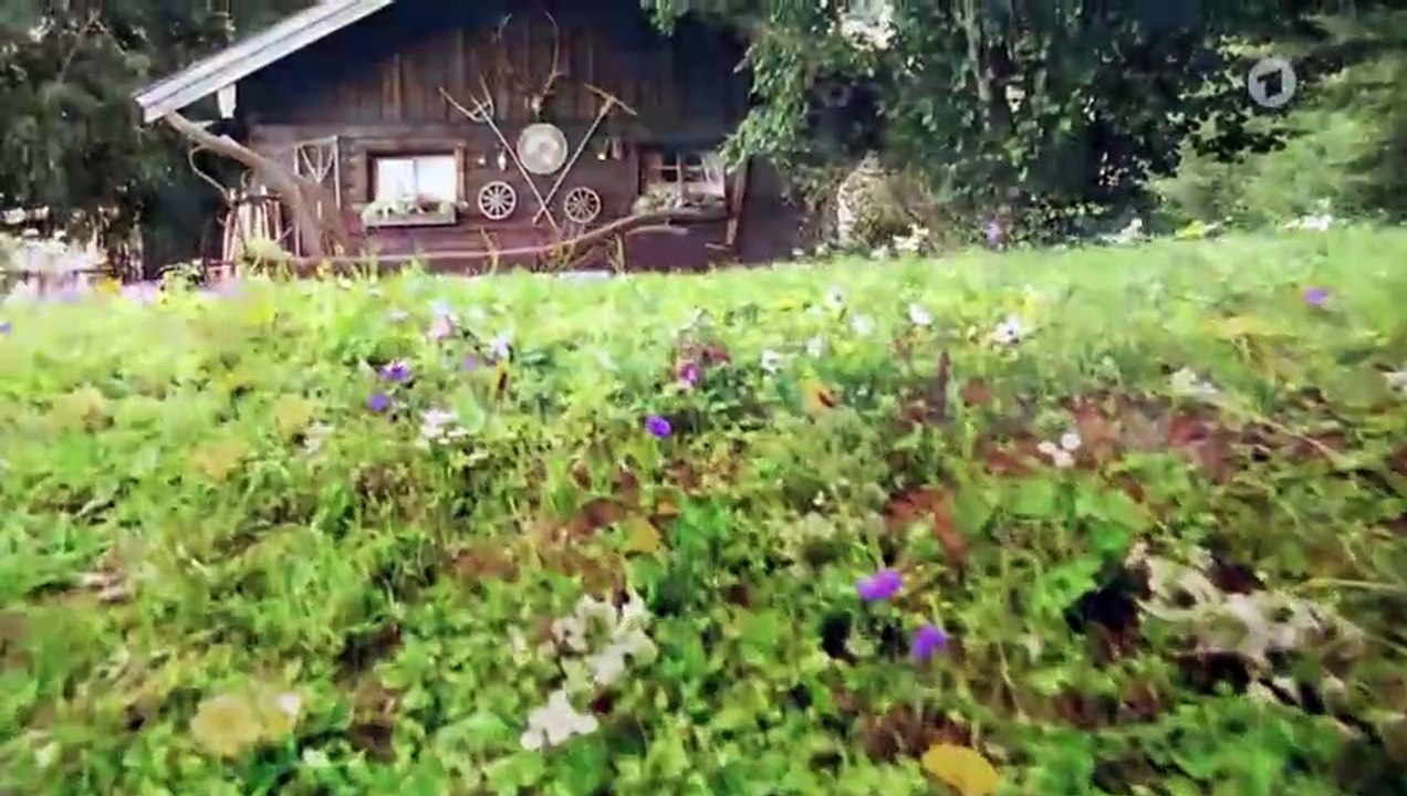 Sturm der Liebe 4128