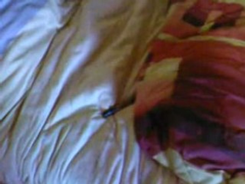 Bob marley dessin weed bob marley