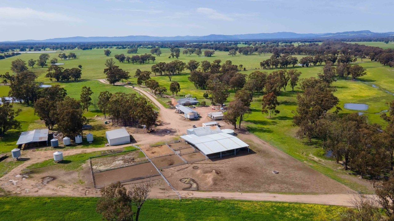 Balmullin farm aggregation | October 20, 2023 | Farmonline