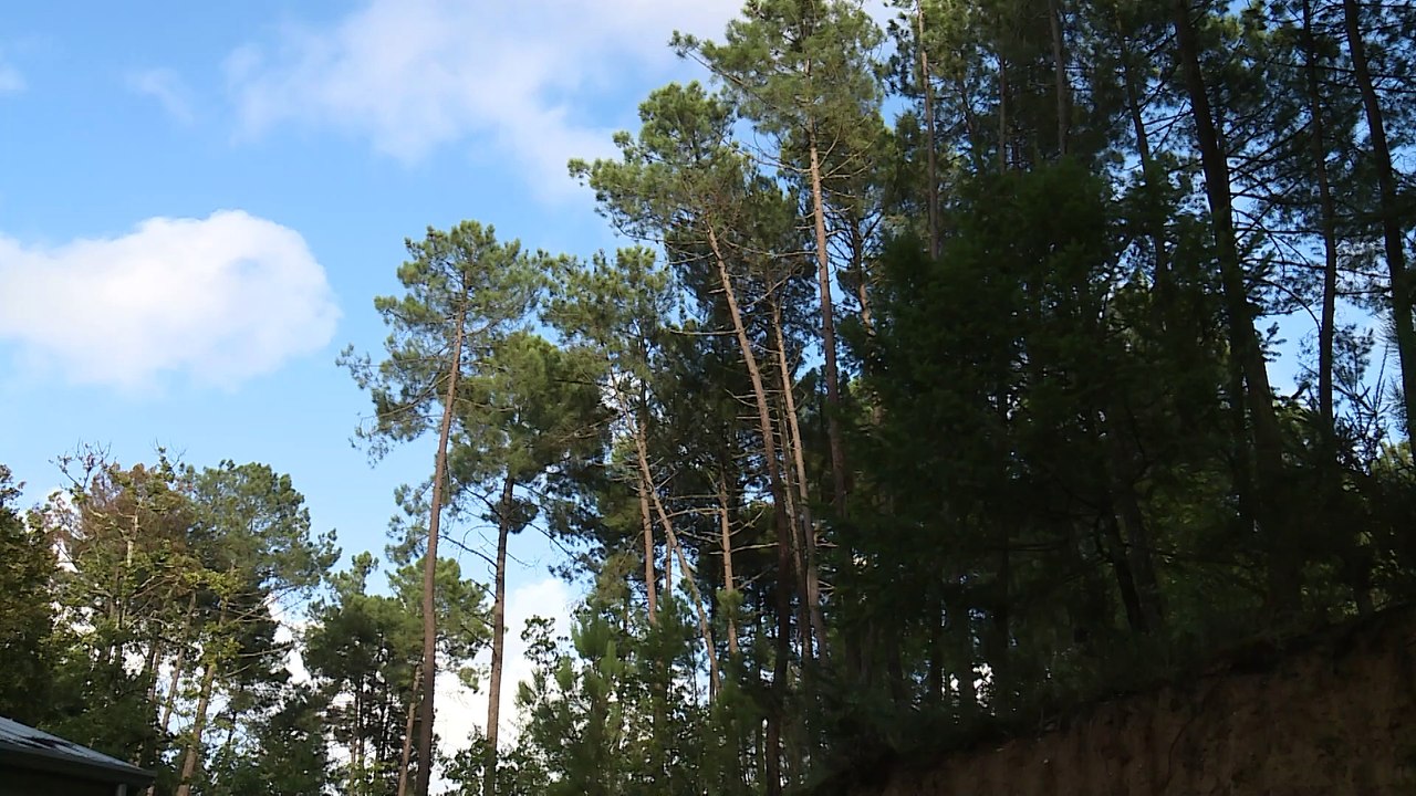 Estudo sobre o Radão: Gás Radioativo e Cancerígeno no Norte de Portugal
