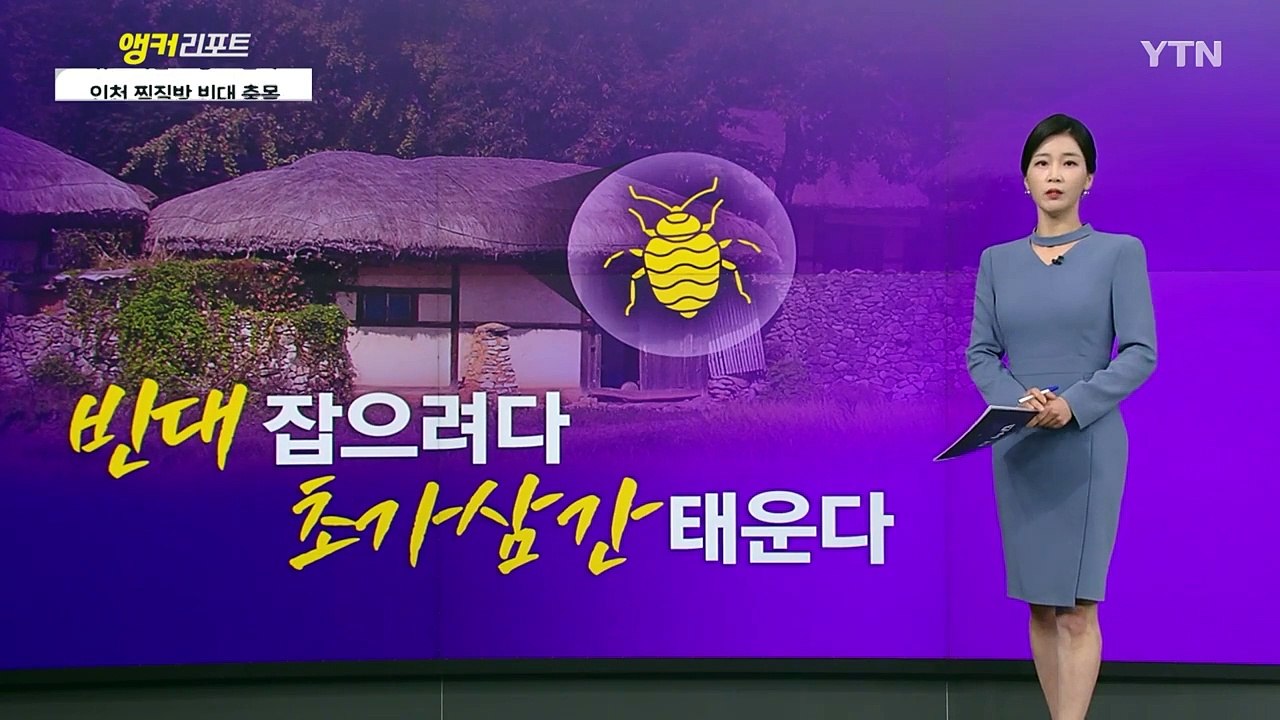 [뉴스모아] 혈관 찾아서 이동하다 국내까지 습격한 '빈대' / YTN