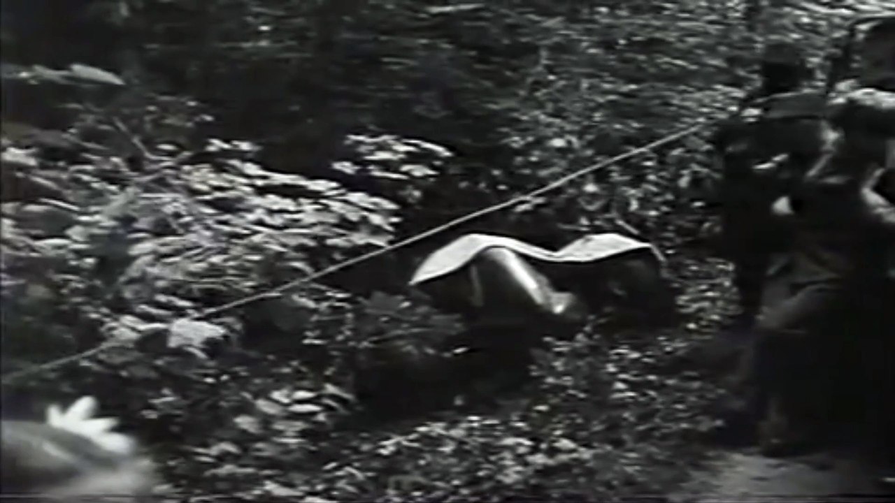 Christian Kautz's Fatal Crash @ Bremgarten 1948 (Aftermath)