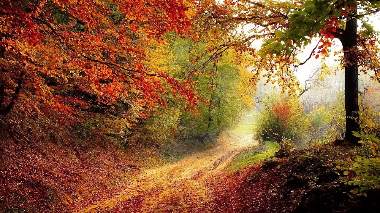 🌿 Meditation Music 2025 💫 Stress Relief & Calm Vibes 😌