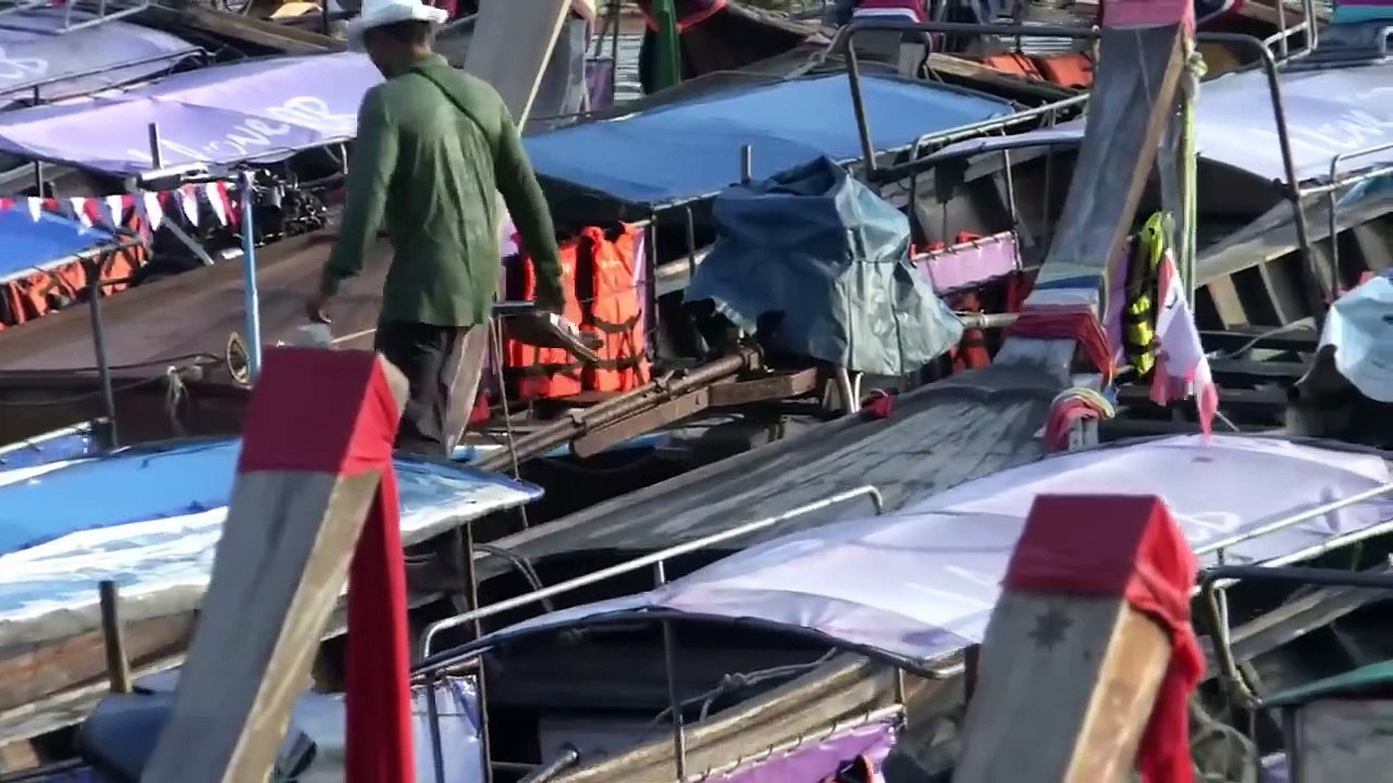 CROC -  Hollywood English Creature Movie