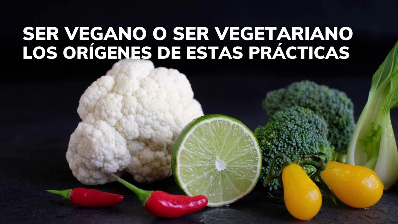 SER VEGANO o SER VEGETARIANO