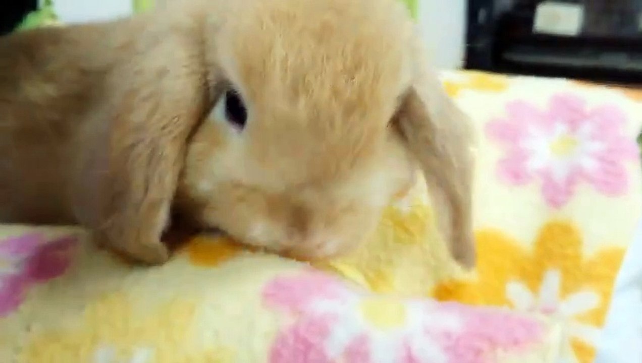 Angela White - Firefighter Angela's White Hot