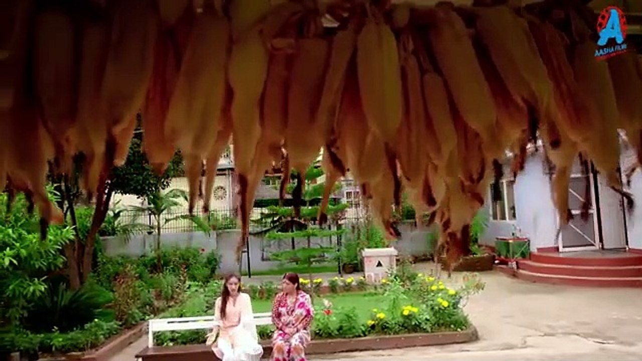 New nepali wab series