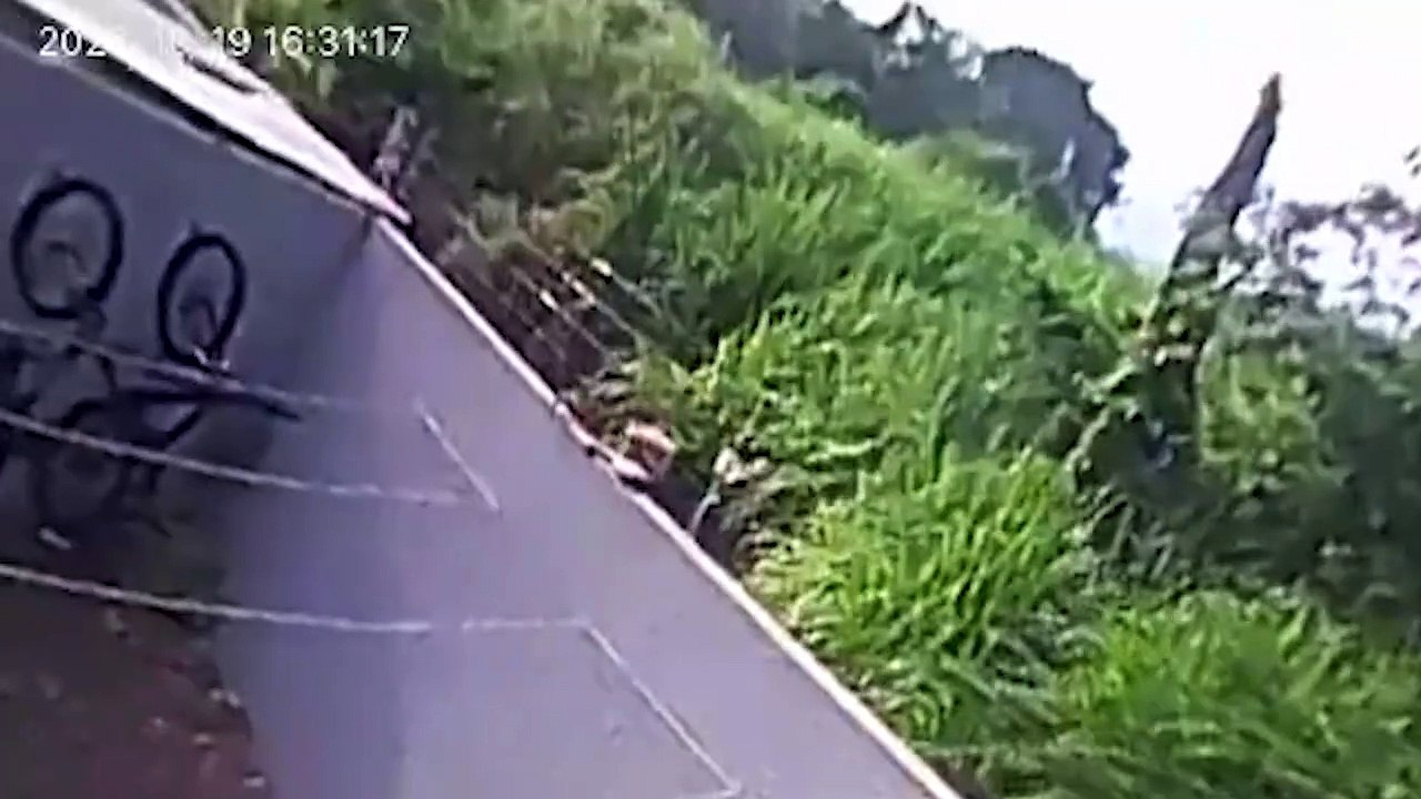 Câmera flagra bicicleta sendo furtada