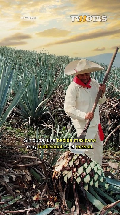 Para todo mal, mezcal