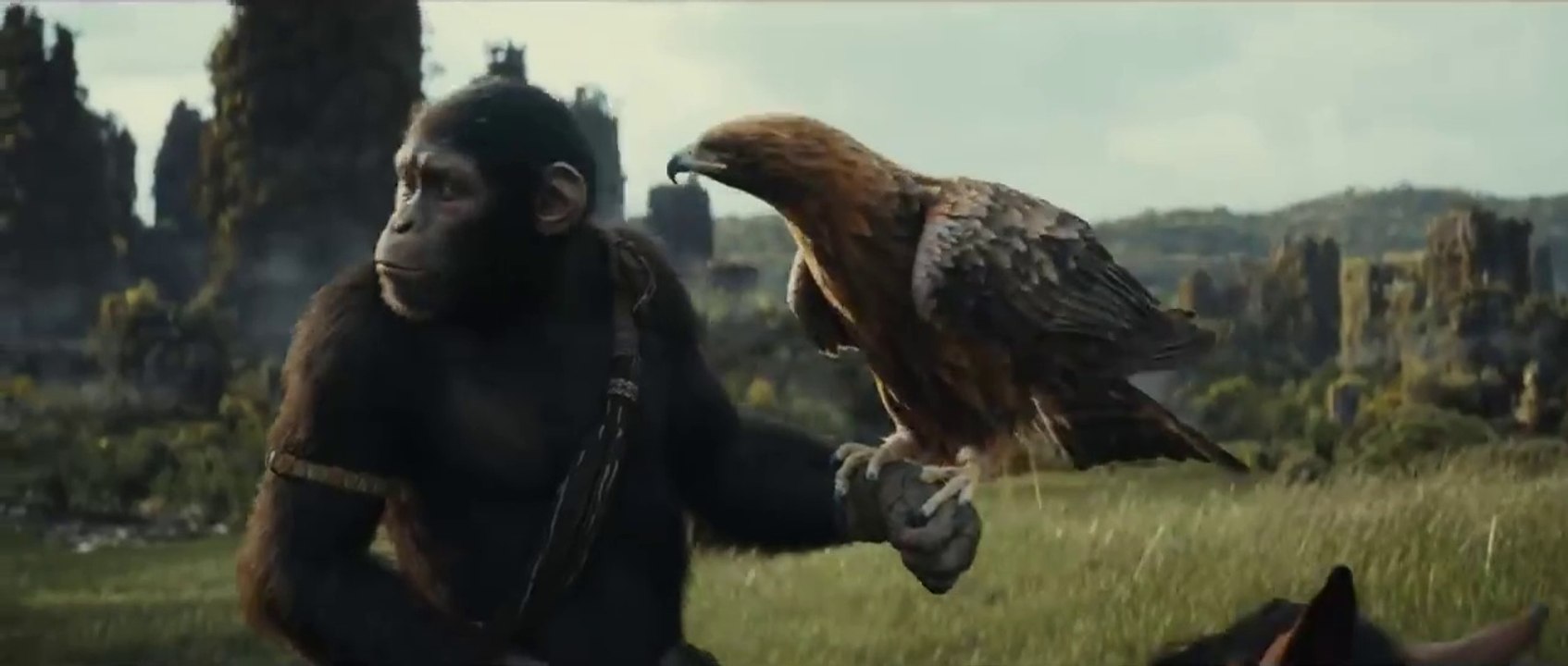 Kingdom Of The Planet Of The Apes | Trailer 1