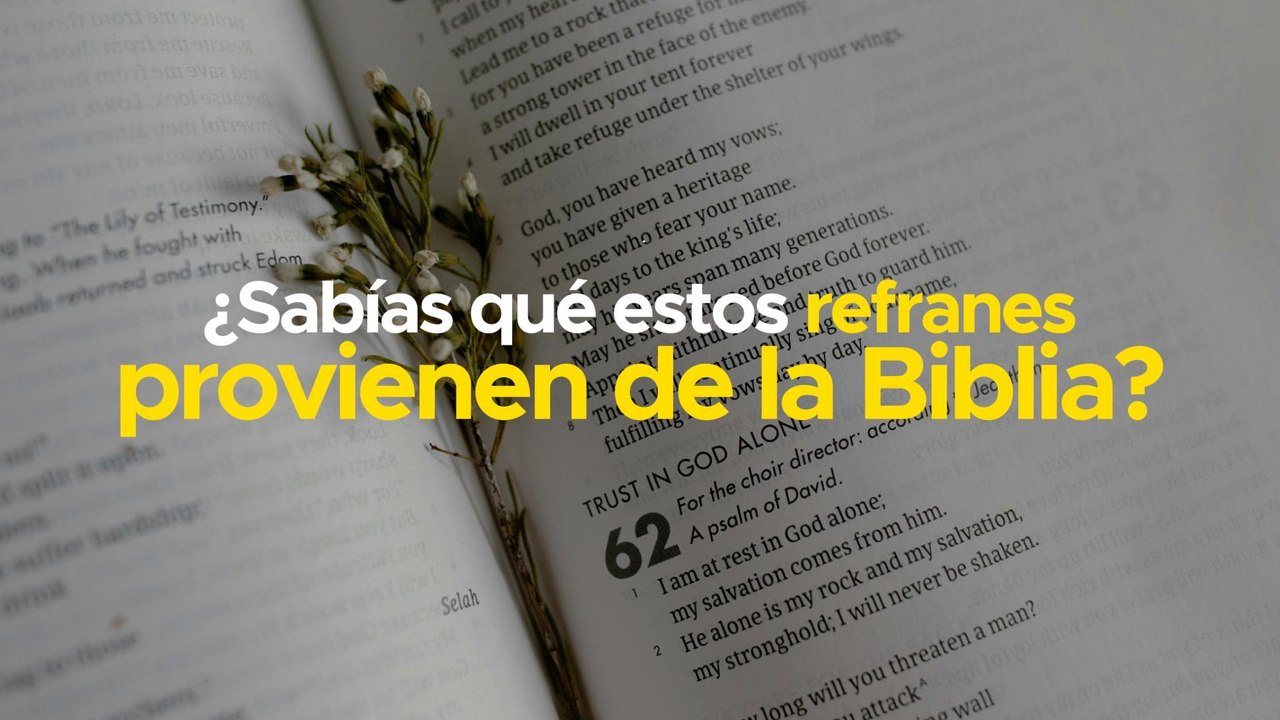 VIDEO - ¿Sabías qué estos refranes provienen de la Biblia?
