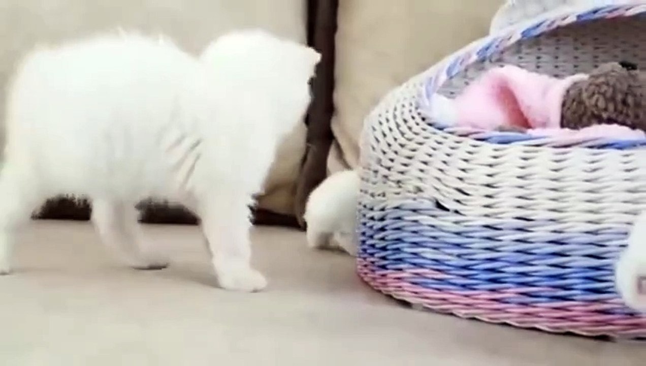 Redhead Ice Cream Tease - Cherry Candle