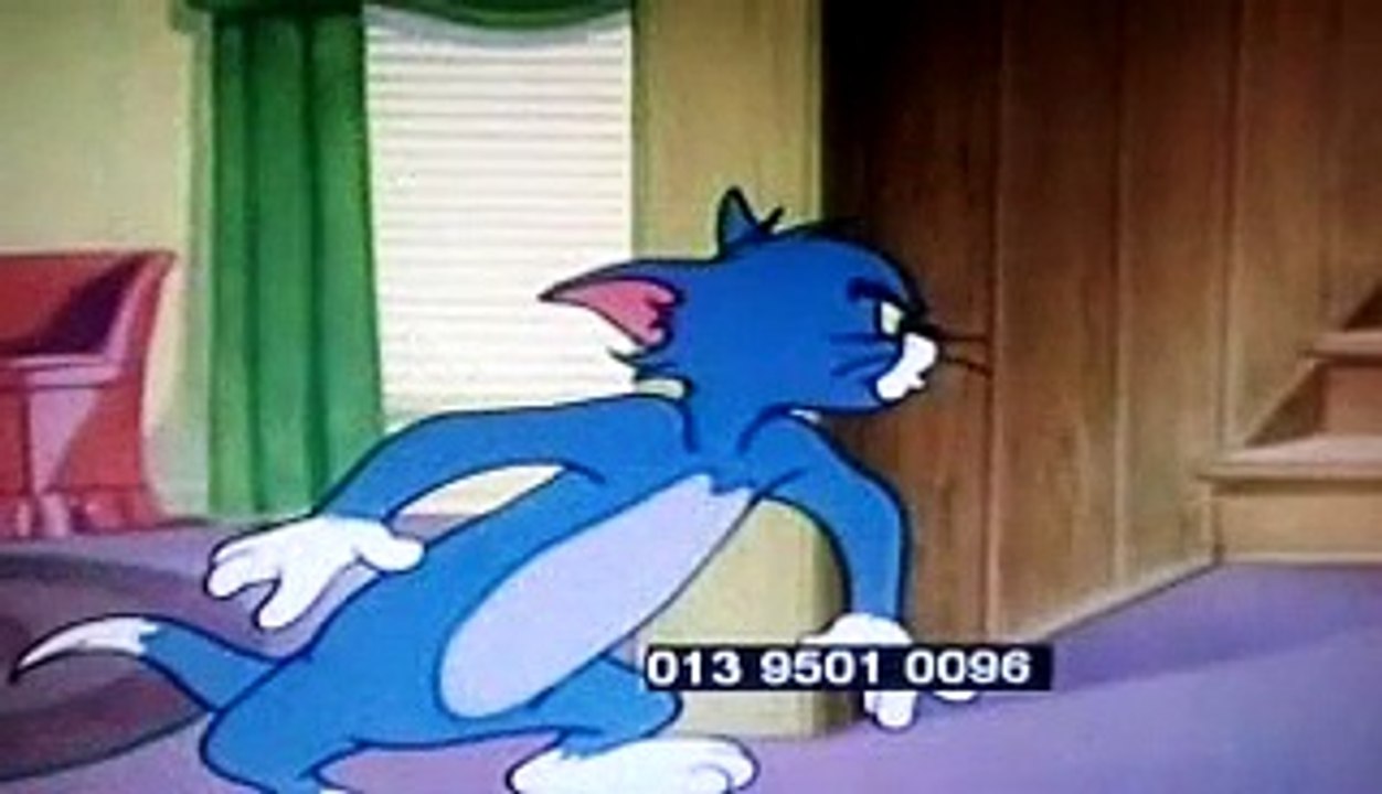 Tom and Jerry cartoon Puppy Tale