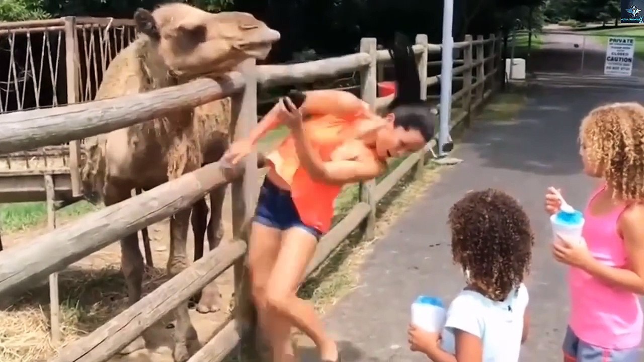 More funny people  and funny moments