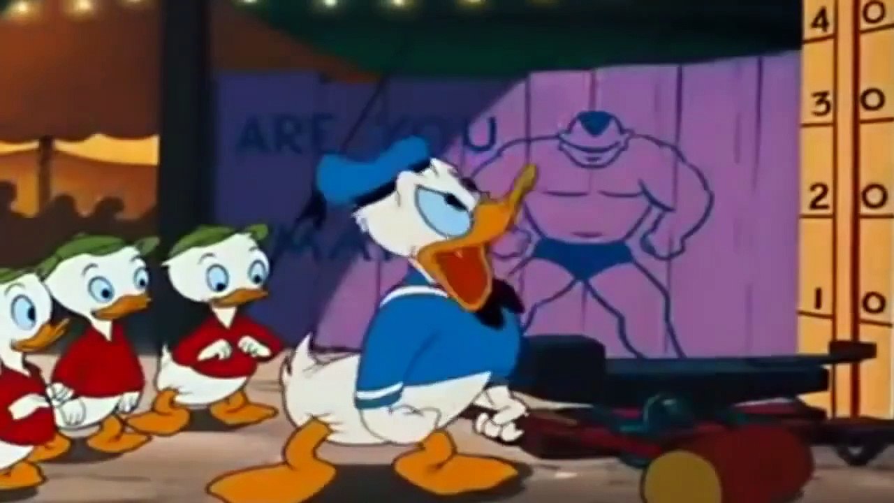 Donald Duck Canvas Back Duck