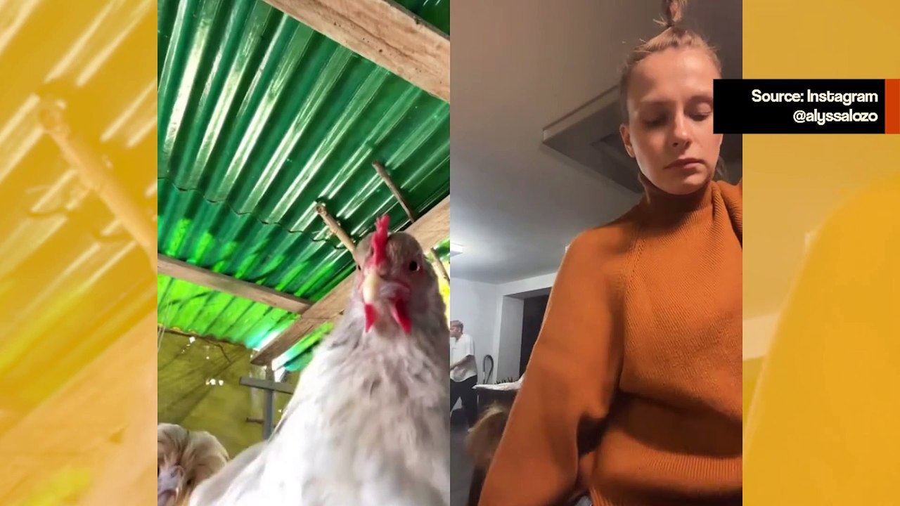 Hulvaton video: linnut inspiroivat tanssijatrioa