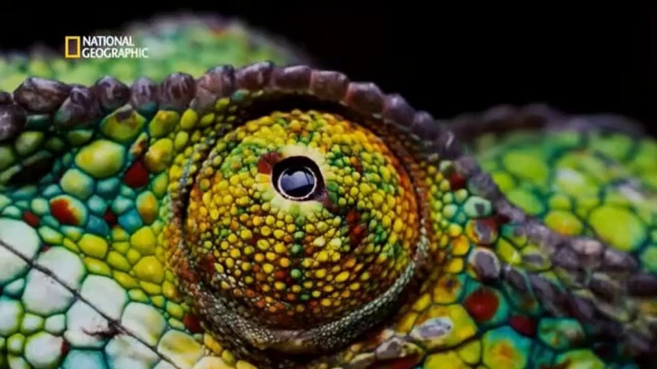 Cosmos: Los rios de la vida