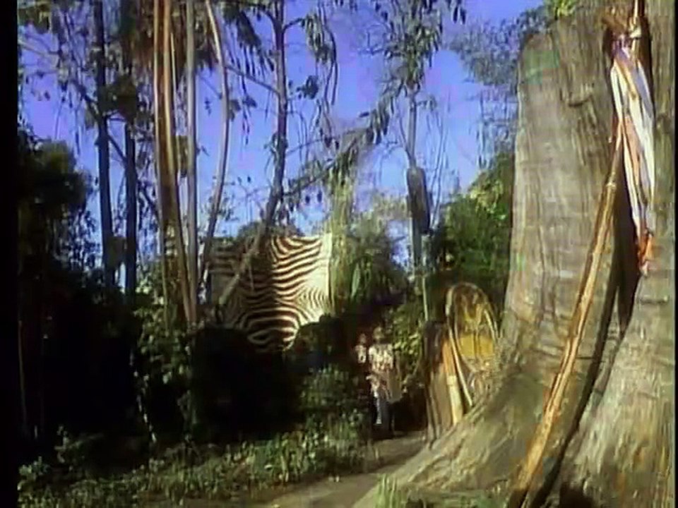 合集育儿 早教 英语 歌舞类kid songs早教英文儿歌-经典早教视频 (1)