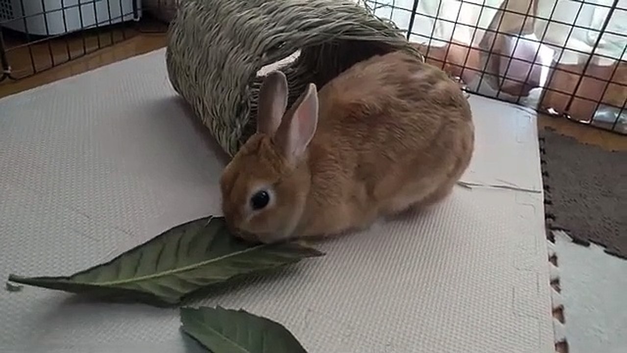 Mira Gets Her Way with Mira Monroe