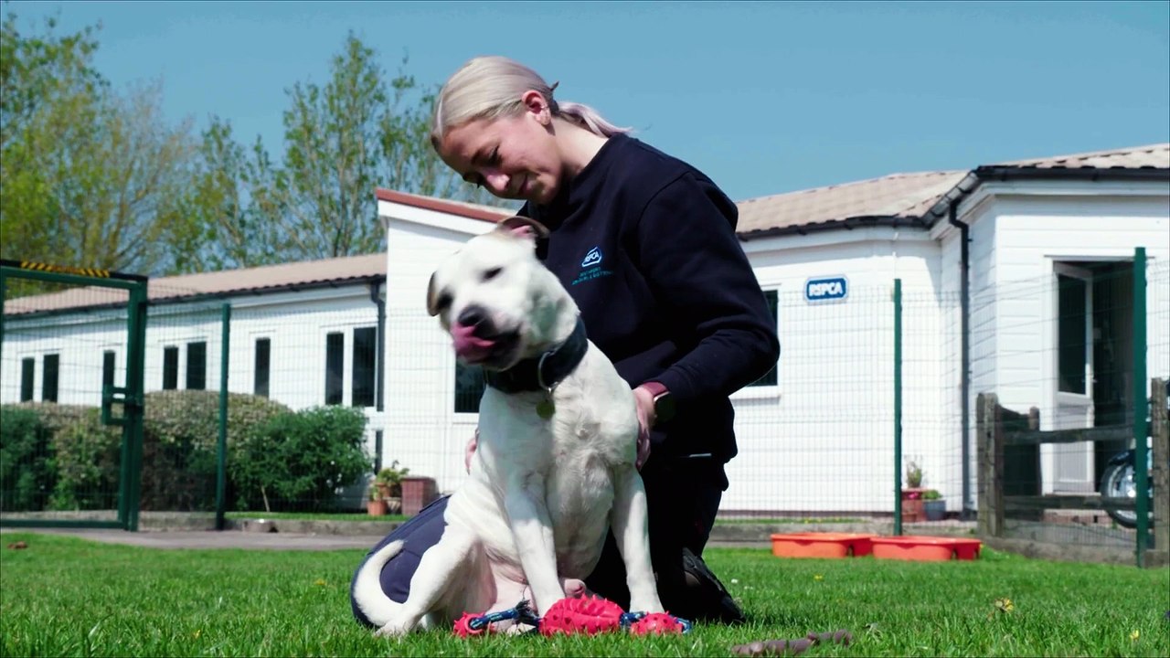 Stunning £3mn countryside retreat up for grabs in the latest Omaze prize draw