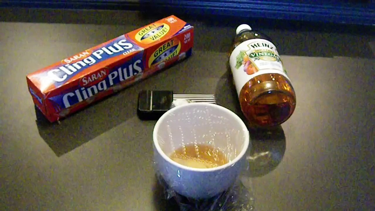 How To Get Rid of Fruit Flies and Gnats Fast!!!