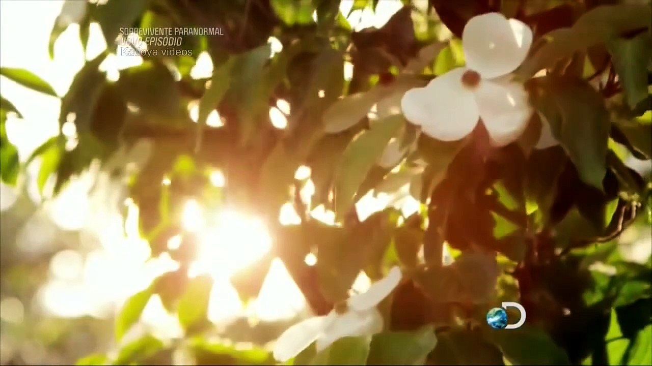 Assombrações Discovery 2024 - Documentário 2024