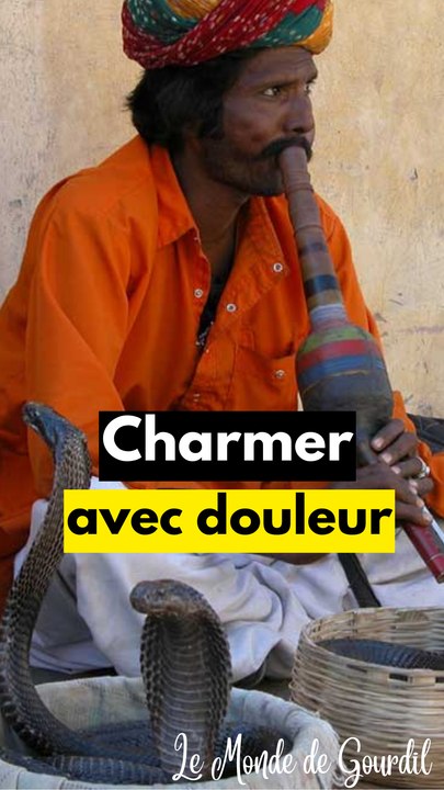 Les charmeurs de serpents